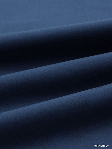 Постельное белье Sima-Land 10445187 (синий)