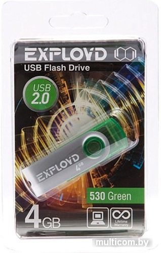 USB Flash Exployd 530 4GB (зеленый)