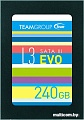 SSD Team L3 Evo 240GB [T253LE240GTC101]