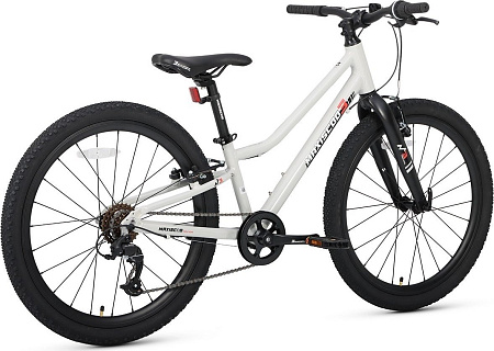 Велосипед Maxiscoo 3bike 24 L 2025 MSC-M3-2403 (серый, разобранный)