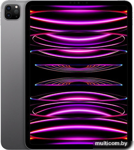 Планшет Apple iPad Pro 11&quot; 2022 2TB (серый космос)
