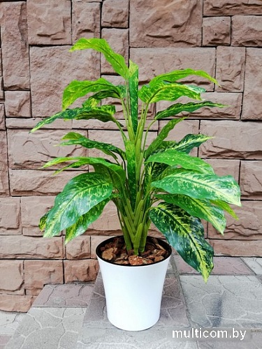 Искусственное растение Forgarden Диффенбахия в белом горшке BN10741