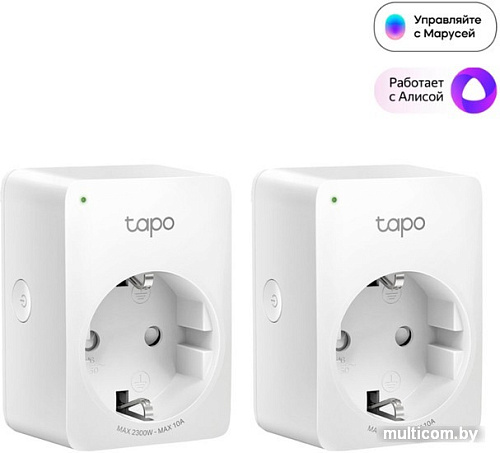 Умная розетка TP-Link Tapo P100 (2 шт)