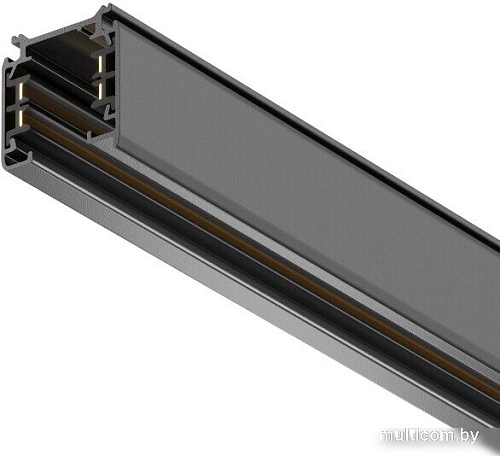 Шинопровод Maytoni Technical Trinity TRX005-313B