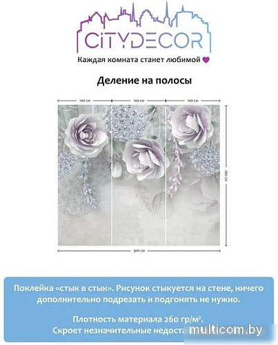 Фотообои Citydecor Абстракция 66 300x260