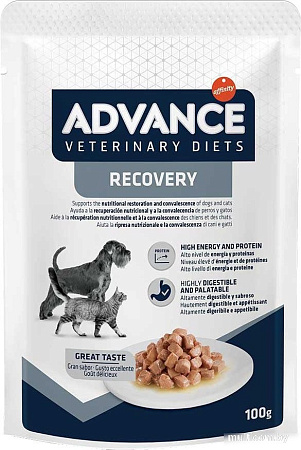 Advance Diets Recovery 100 г