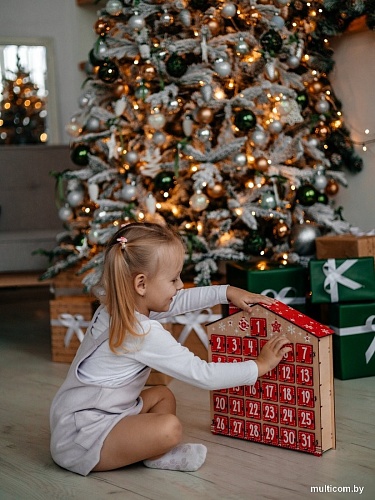 Woody Дом цветной на 31 день 05667