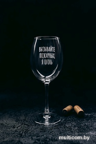 Бокал для вина Мастерская TrueLaser Вызывайте пожарных, я огонь BV561
