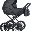 Универсальная коляска Riko Montana Ecco Prestige (2 в 1, 12/черный)