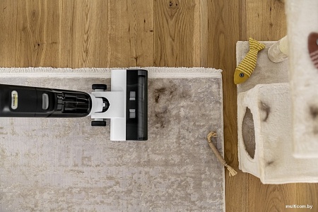 Вертикальный моющий пылесос Karcher FCV 3 Natural N 1.056-124.0