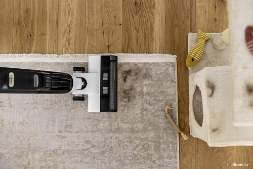 Вертикальный моющий пылесос Karcher FCV 3 Natural N 1.056-124.0