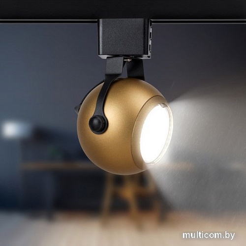 Трековый светильник ЭРА TR35-GU10 MG Б0053297