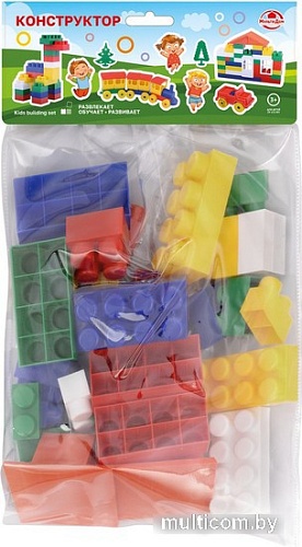 Конструктор/игрушка-конструктор Мультидом Бигги МТ90-234