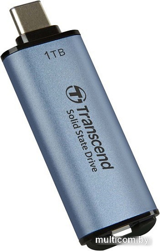 Внешний накопитель Transcend ESD300 1TB TS1TESD300C