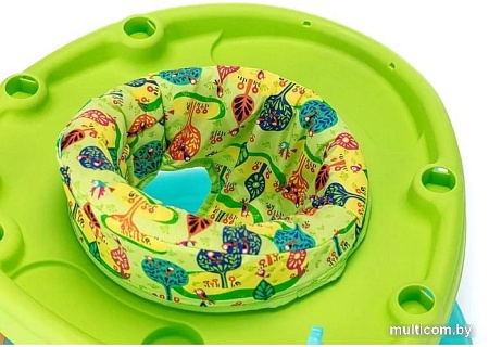 Ходунки Nuovita Gioco (зеленый/бирюзовый)