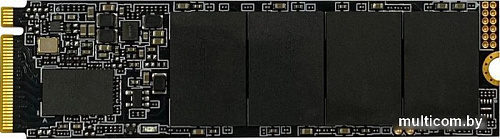 SSD AGI AI818 1TB AGI1T0G43AI818
