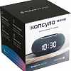 Умная колонка Mail.ru Капсула Мини (темно-серый)