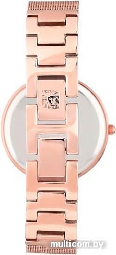 Наручные часы Anne Klein 2972MPRG