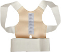 Корректор осанки Bradex Кипарис KZ 0057