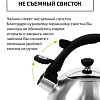 Чайник со свистком TimA WTK196
