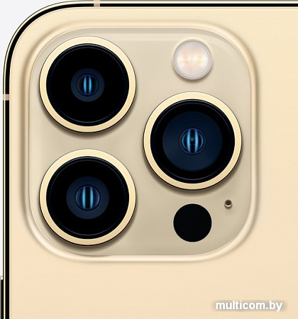 Смартфон Apple iPhone 13 Pro Max 256GB (золотой)