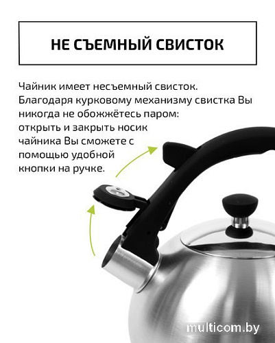 Чайник со свистком TimA WTK196