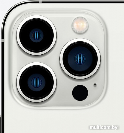 Смартфон Apple iPhone 13 Pro 256GB (серебристый)