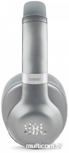 Наушники с микрофоном JBL Everest Elite 750NC (серебристый)