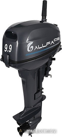 Allfa T9.9 (черный)
