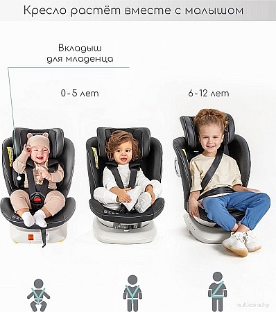 Детское автокресло Amarobaby Champion Isofix AMARO-2008CH-Gr (графит)