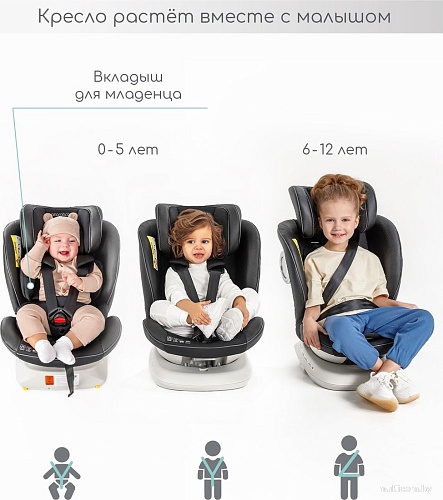 Детское автокресло Amarobaby Champion Isofix AMARO-2008CH-Gr (графит)