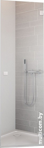 Душевая дверь Radaway Essenza New PTJ 60 R