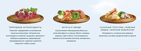 Сухой корм для собак HappyOne Mediterraneum беззерновой со свежим яйцом и свежим мясом птицы 3 кг