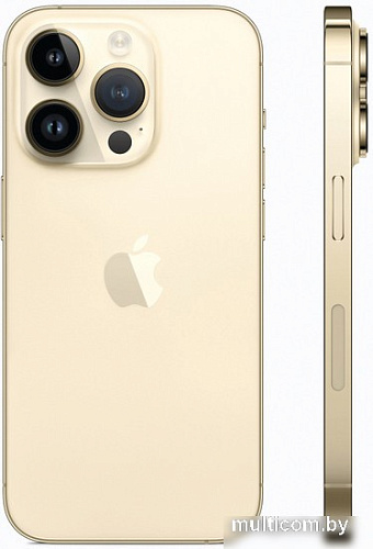 Смартфон Apple iPhone 14 Pro 128GB Восстановленный by Breezy, грейд A (золотистый)