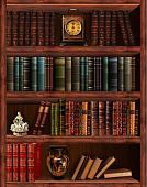 Фотообои Citydecor Библиотека с защитным покрытием 200x254