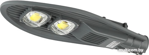 Городской фонарь ЭРА SPP-5-80-5K-W