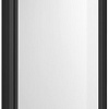 Душевая дверь Aquatek AQ ARI PI 10020BL 100x200 (черный/прозрачное стекло)