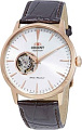 Наручные часы Orient FAG02002W