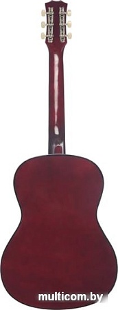 Акустическая гитара Terris TF-3802A NA