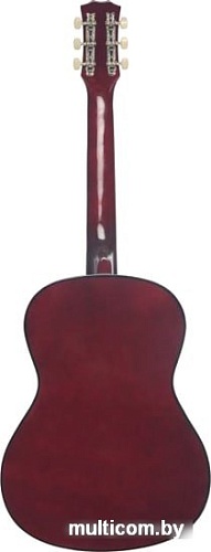 Акустическая гитара Terris TF-3802A NA