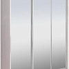 Шкаф-купе Рэйгрупп 233450 YYX Elgon РГ-01.04 (ясень снежный/хром)