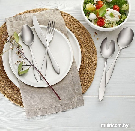 Набор столовых приборов Villeroy & Boch Arthur Brushed 12-6394-9081