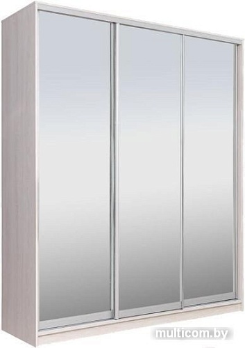 Шкаф-купе Рэйгрупп 233450 YYX Elgon РГ-01.04 (ясень снежный/хром)