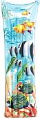 Intex Fashion 59720NP