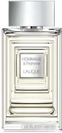 Туалетная вода Lalique Hommage A L'homme EdT (100 мл)