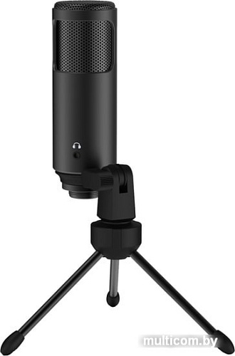 Микрофон Lorgar Voicer 521