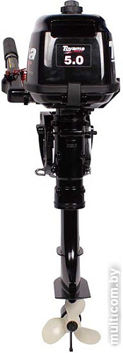 Лодочный мотор Toyama T5ABMS