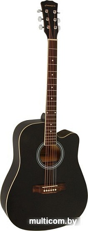 Акустическая гитара Elitaro E4120 BK