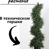 Искусственное растение Merry Bear Home Decor Туя спиралевидная KA0035