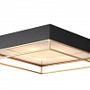 Припотолочная люстра ST Luce Chodo SL1127.422.05